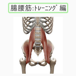 腸腰筋:トレーニング編