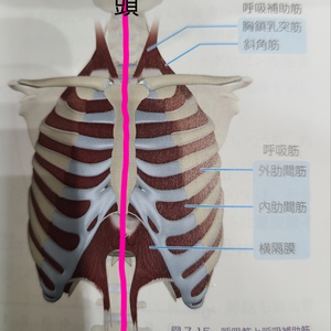 身体が重い、、、そんな時こそ♪