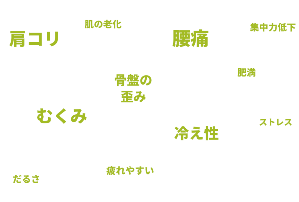 肩コリ、肌の老化、腰痛、集中力低下、むくみ、骨盤の歪み、肥満、だるさ、疲れやすい、冷え性、ストレス